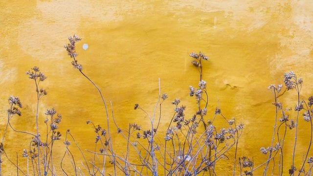 reno paint mart stain