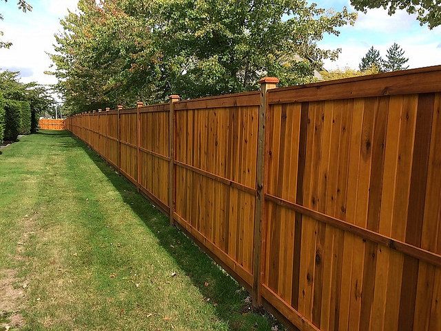 Truckee Fence Stain